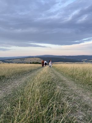 Fotografia od Zolo K.
