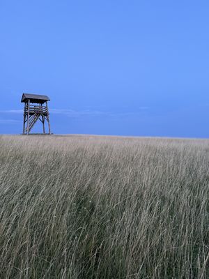 Fotografia od Zolo K.