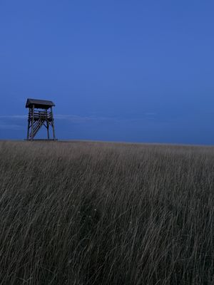 Fotografia od Zolo K.