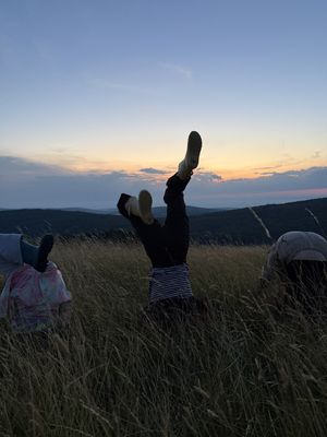 Fotografia od Zolo K.