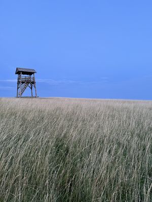 Fotografia od Zolo K.