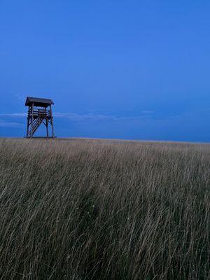 Fotografia od Zolo K.