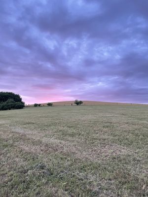 Fotografia od Katka D.