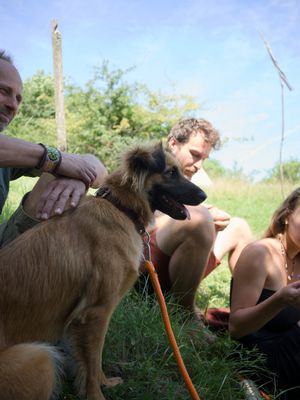 Fotografia od Zolo Kis